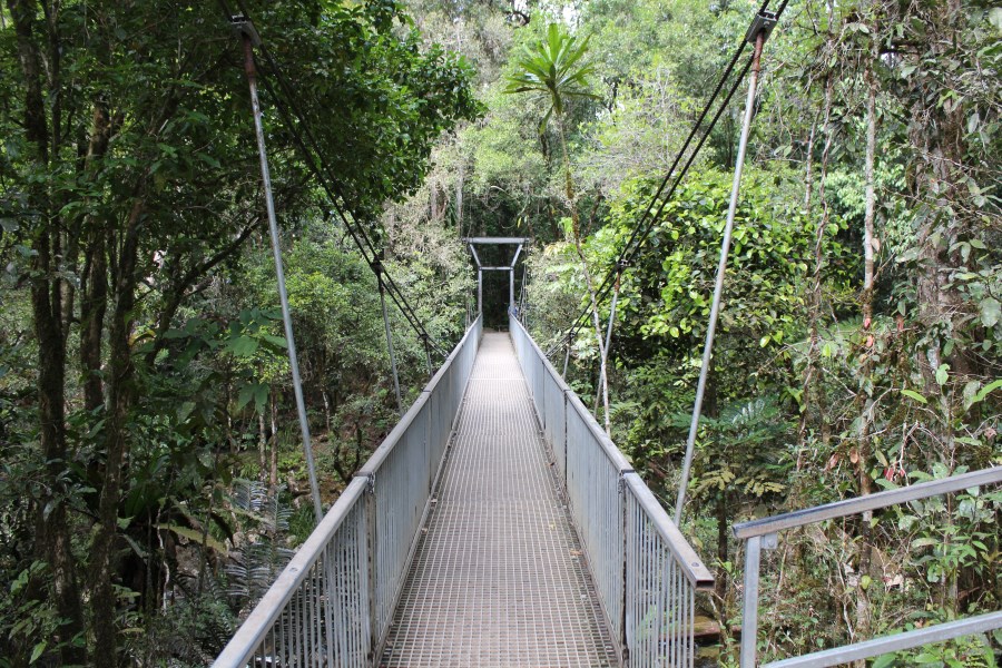 ddaumossmangorge8.jpg